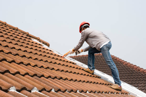 Best Solar Panel Roofing Installation  in East Oakdale, CA